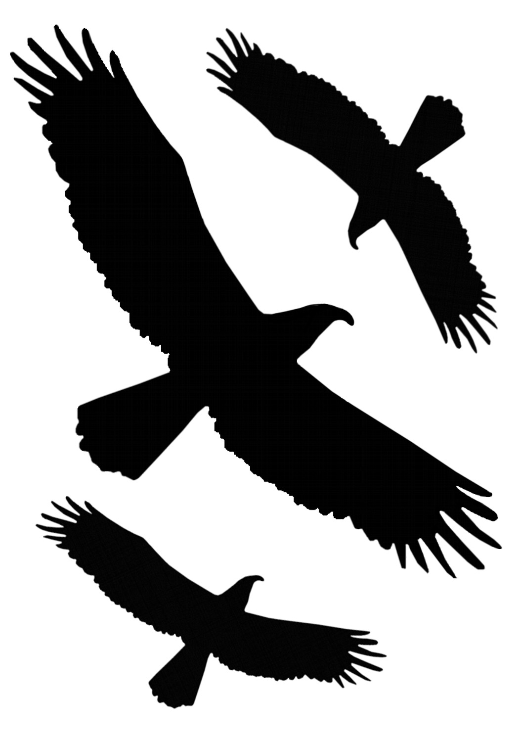 1050x1500 Sticker Outline Red Deer Stickers Animal Motives Contours