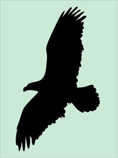 236x314 Silhouette Of Eagle
