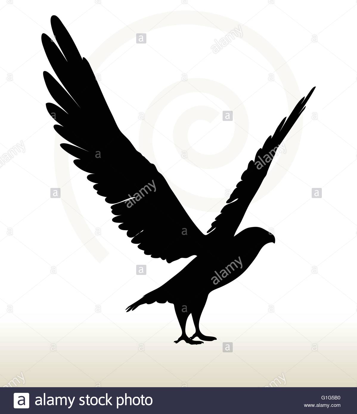 1198x1390 Bald Eagle Stock Vector Images