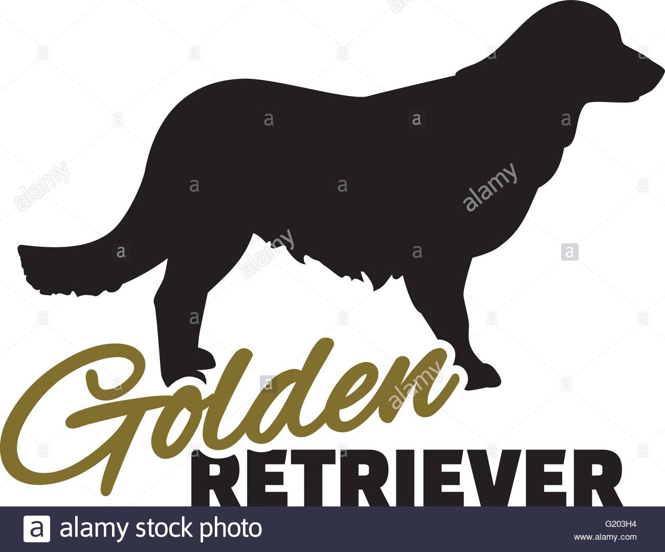 1300x1078 Golden Retriever Stock Vector Images