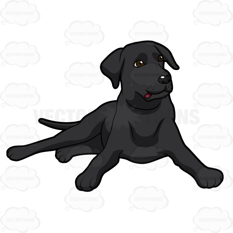 800x800 Labrador Retriever Clipart Tribal