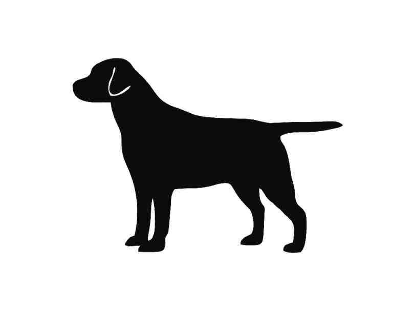 809x607 Retriever Head Outline Black Silhouette Image Of Puppy Sitting
