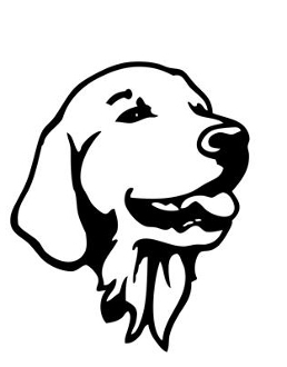 258x330 Golden Retriever Head 2 Decal Sticker