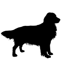 200x200 Golden Retriever Icon