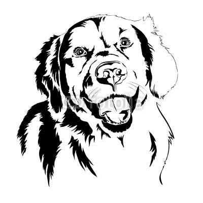 400x400 Golden Retriever Silhouette Vector