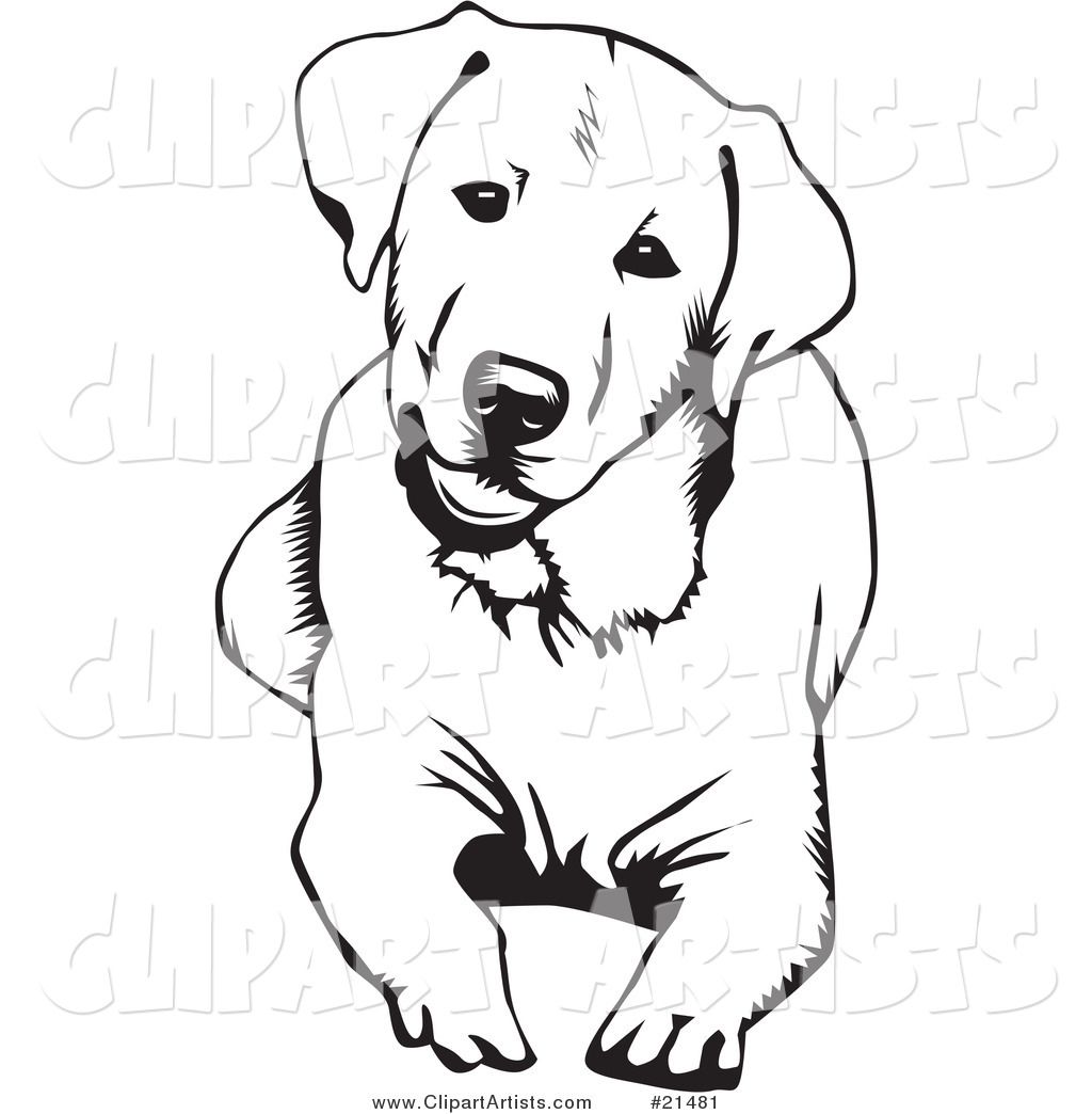 1024x1044 Labrador Coloring Pages