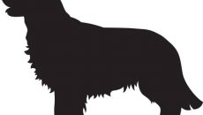 230x130 Golden Retriever Clipart