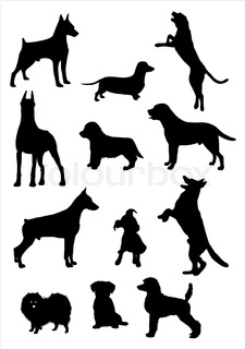 225x320 Set Of Colorful Vector Portraits Of Different Dog Breeds (Brussels