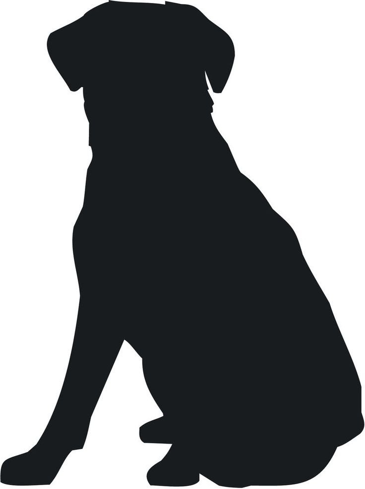 736x986 Golden Retriever Clipart Silhouette Many Interesting Cliparts