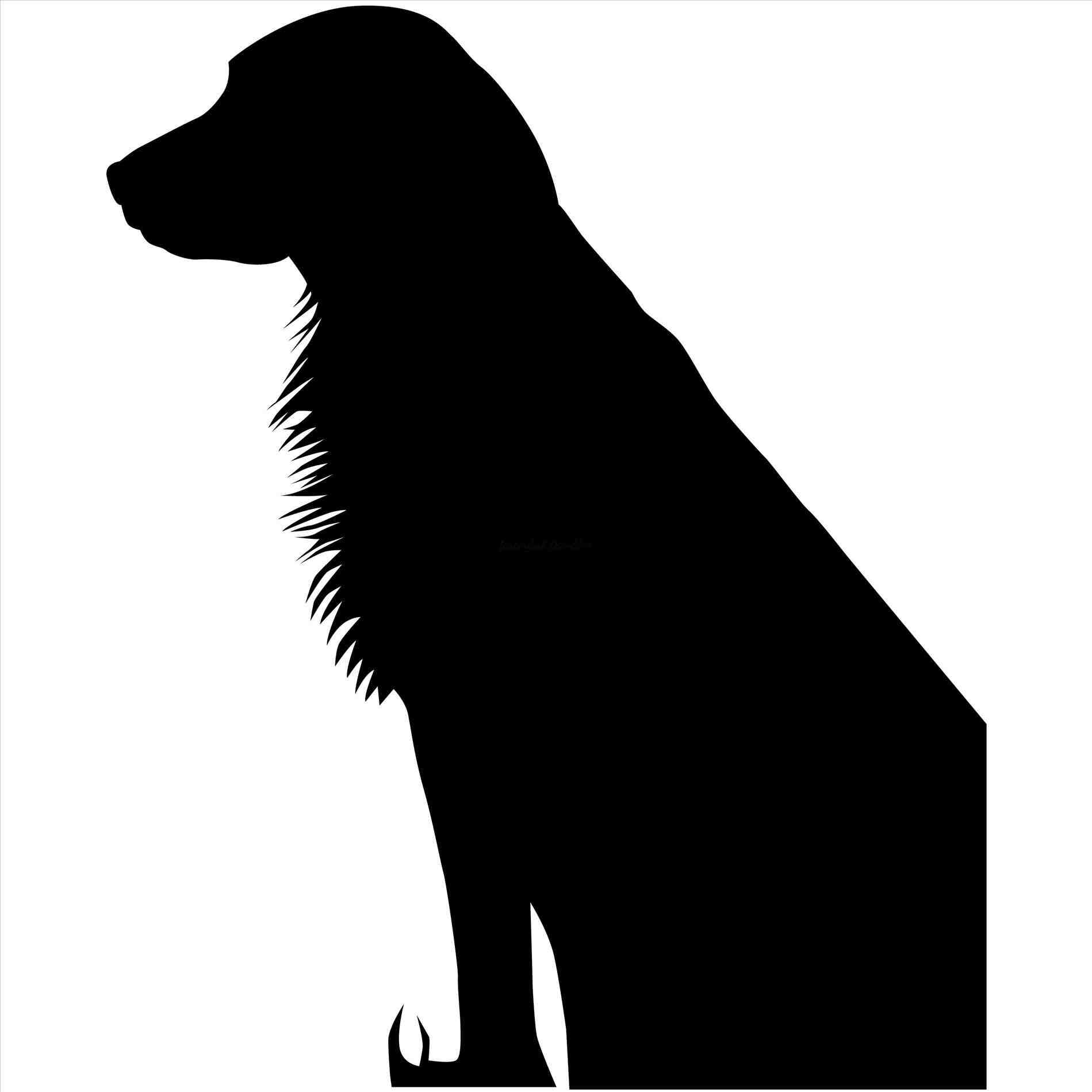1899x1899 Golden Retriever Silhouette Animalsee.club