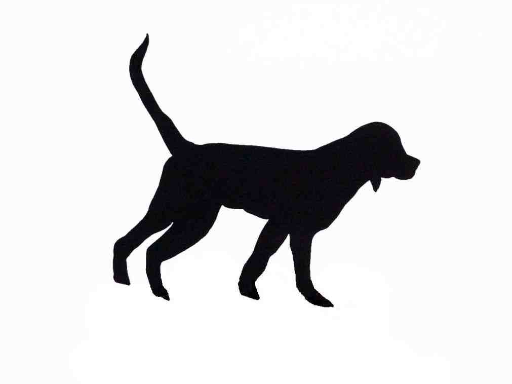 1011x758 Golden Retriever Silhouette Transparent Animalsee.club