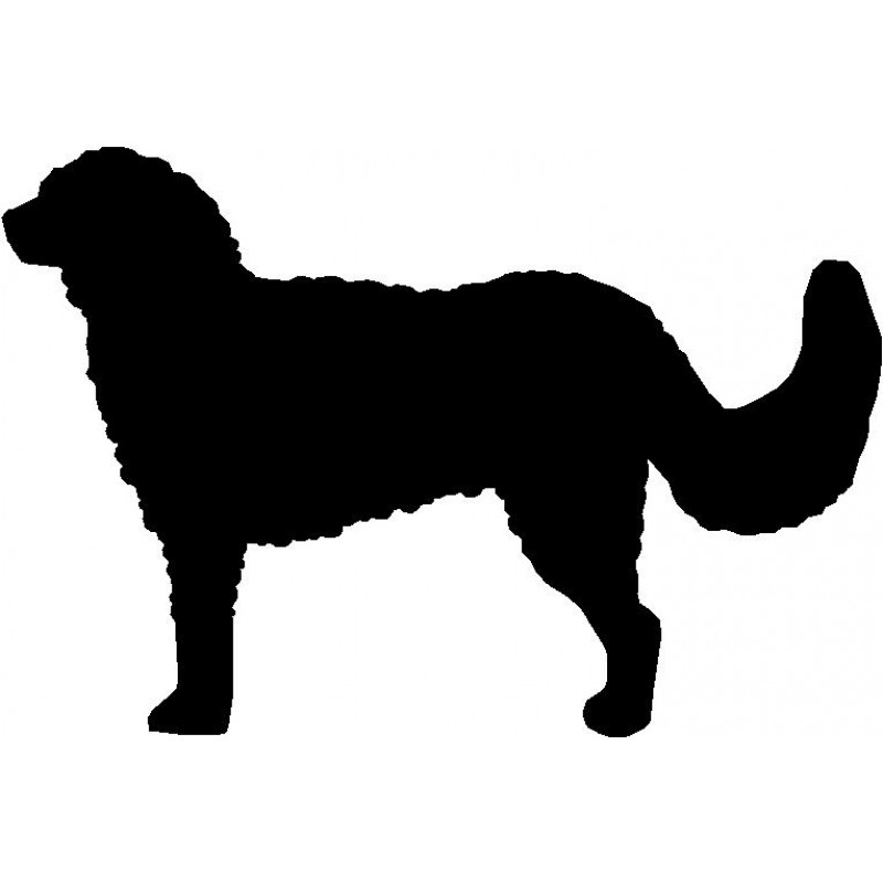 800x800 Dog Breed Silhouette Wall Hanging Magnetic Memo Goldendoodle