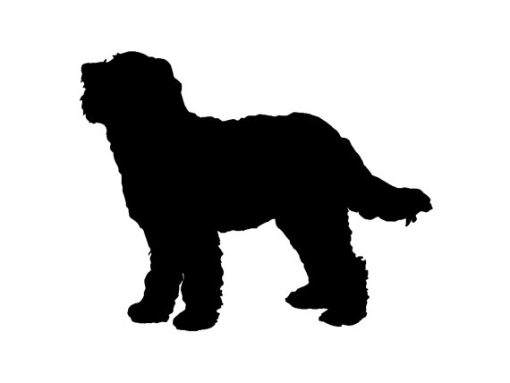 570x428 Goldendoodle Dog Breed Silhouette Custom Die Cut Vinyl Decal