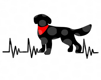 340x270 Goldendoodle Svg Etsy