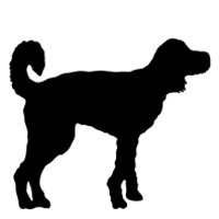 200x200 Best Friends Studios