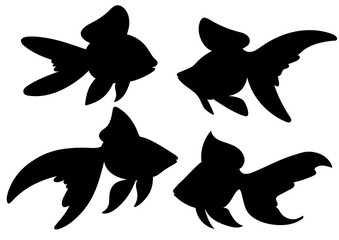 339x240 Goldfish Silhouette Illustration Photos, Royalty Free Images
