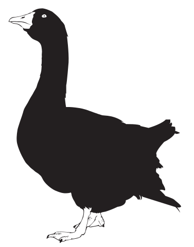 377x480 Filegoose Silhouette 02.svg