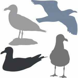 300x300 Silhouette Design Store