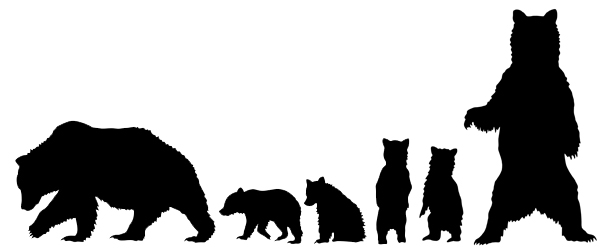 609x252 Wildfire Designs Alaska Quilt Kits