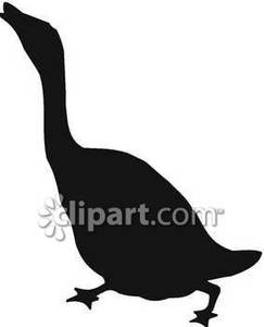 243x300 Of A Honking Goose