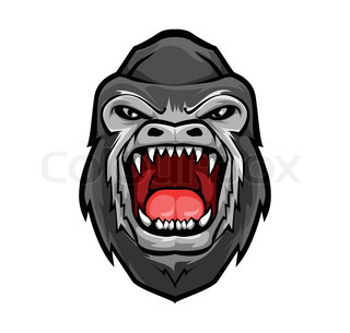 320x305 Gorilla Face Stock Vector Colourbox