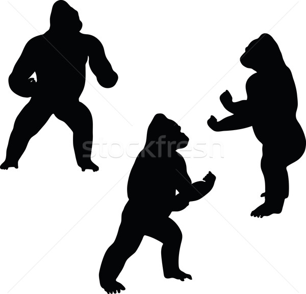 600x576 Gorilla Silhouette Vector Illustration Benguhan Ipekoz