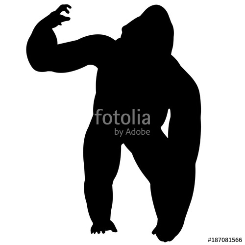 500x500 Gorilla Stock Image And Royalty Free Vector Files