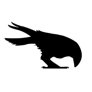 300x300 Gothic Silhouette Wall Decals Black Crow Raven Bird Art Mural