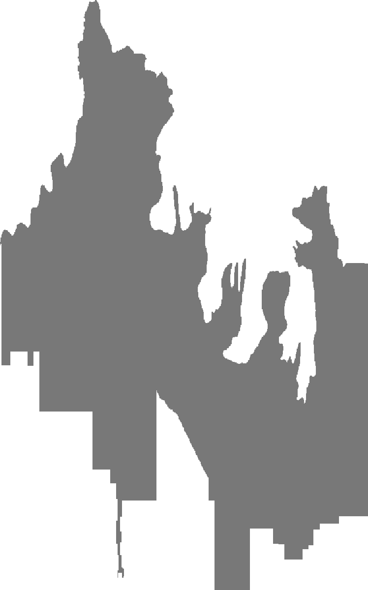 748x1200 Wind Advisory