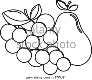 366x320 Silhouette Fresh Grape Fruit Stock Vector Art Amp Illustration