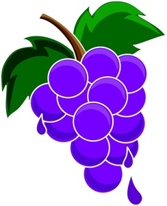 244x300 Grapes Clipart Image