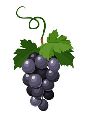 180x240 Black Silhouette Of Grapes. Vector Illustration.
