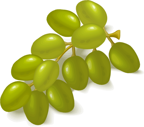 500x443 Green Grapes Vector Image Public Domain Vectors