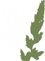 173x233 Grass Silhouette Clip Art Free Vectors Ui Download