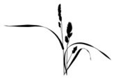 164x114 Grass Silhouette Stock Vectors
