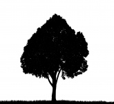 165x150 Tree, Grass Silhouette Clipart Free Stock Photo