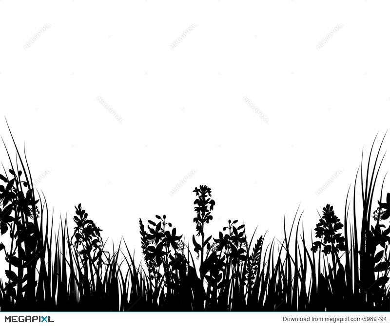 800x670 Vector Grass And Flowers Illustration 5989794