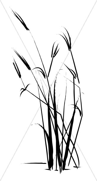 327x612 Summer Grass Sketch Leaf Borders