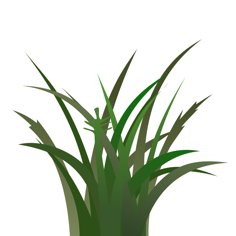 800x800 Gras Animated Clipart