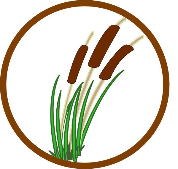 600x571 Grass Silhouette Cattails Clipart