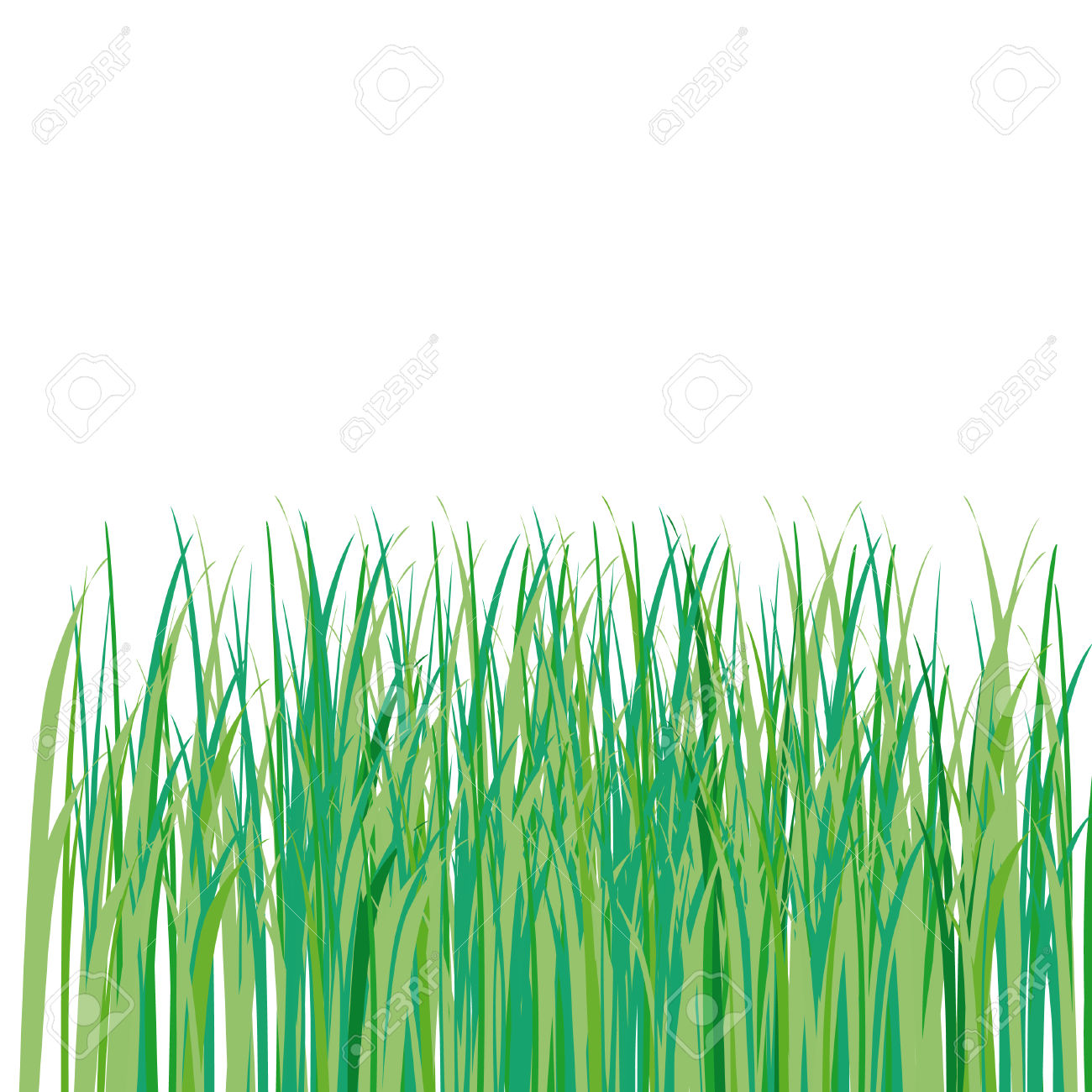 1300x1300 Drawn Grass Illustration 3339157