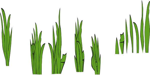 600x303 Grass Blades And Clumps Clip Art Free Vector 4vector