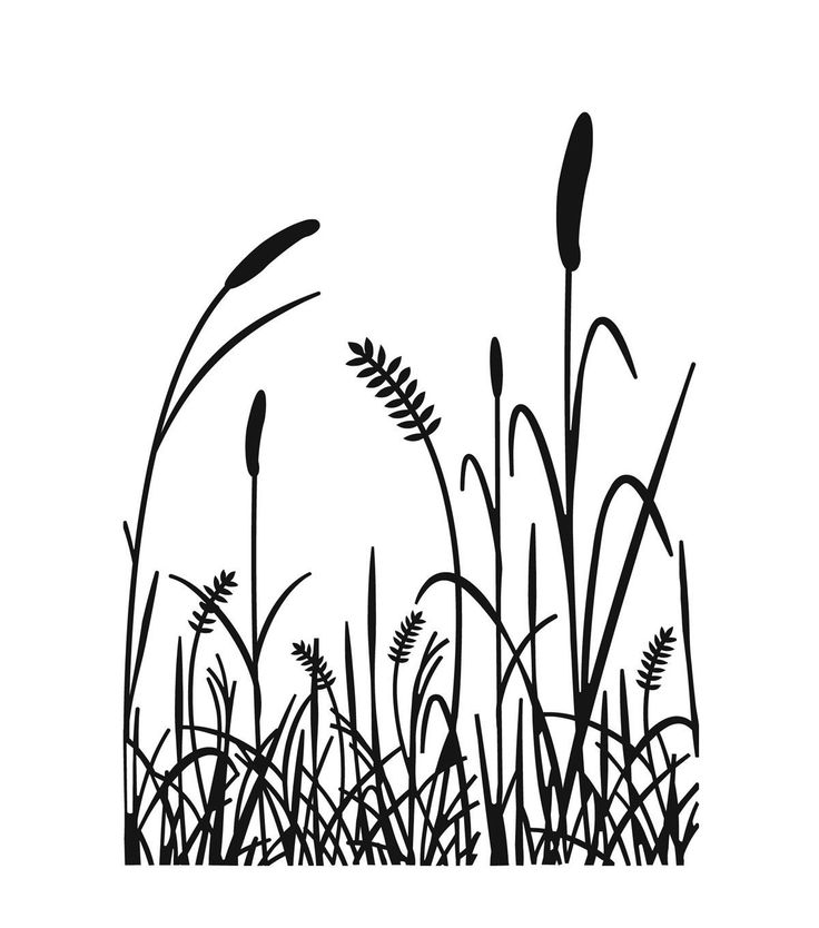 736x834 25 Best Plant And Grass Silhouettes Images
