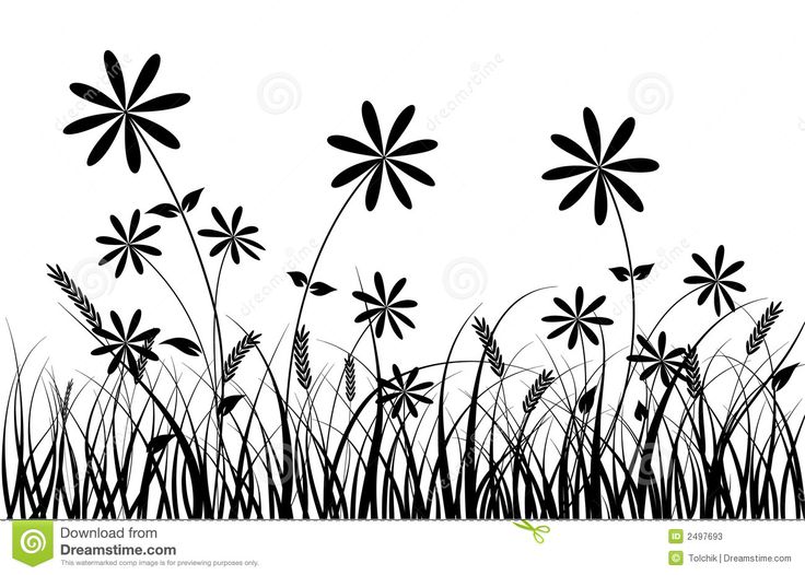 736x526 63 Best Tree Amp Flowers Silhouettes Images