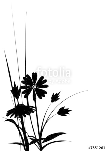 354x500 Silhouette Daisy Stock Image And Royalty Free Vector Files