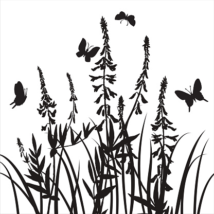 416x416 Vector Silhouettes Of Flowers And Grass With Butterflies Vector