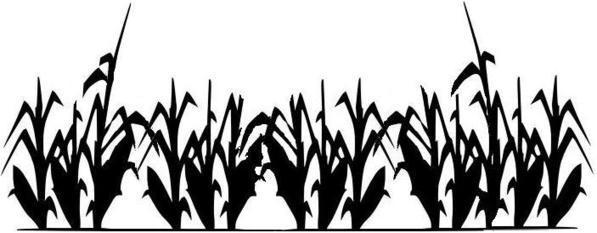 597x233 Corn Clipart Silhouette 3188377
