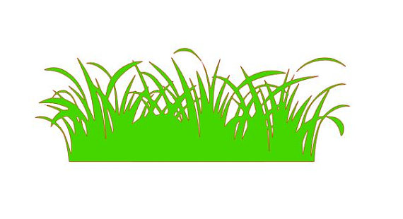 570x310 Grass Cut File