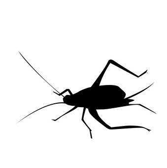 339x340 Free Silhouettes Up, An Illustration