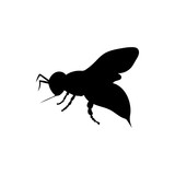 160x160 Locust Grasshopper Insect Black Silhouette Animal Stock Image